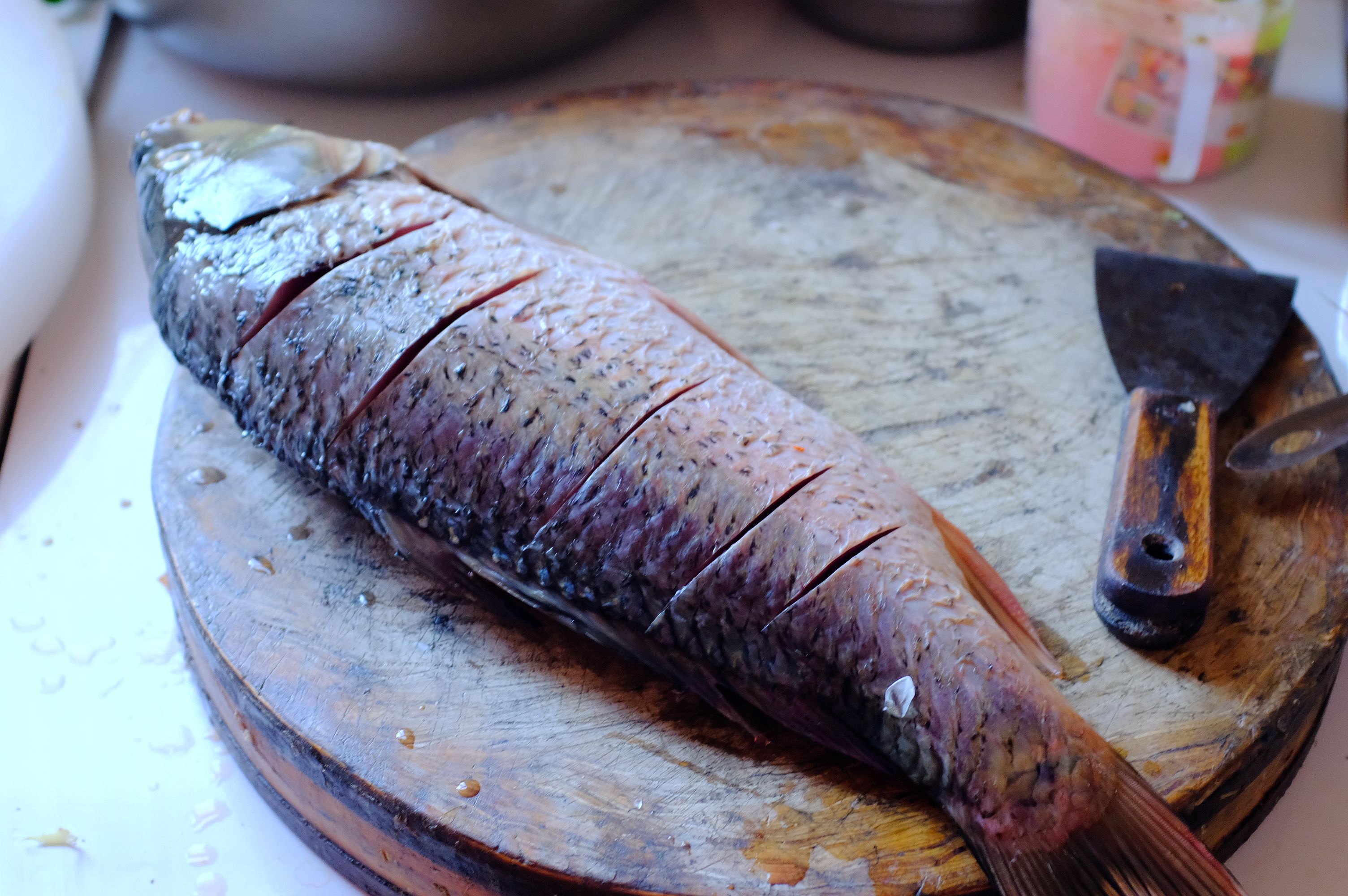 北国明珠黑河,黑河一颗璀璨的明珠