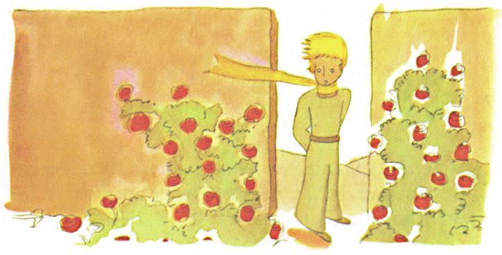 豆瓣9.0分的《小王子》：一本写给妈妈的书，请呵护好你的玫瑰