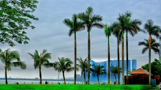 珠海游澳门夜间风景,在珠海看澳门夜景最佳观赏地点