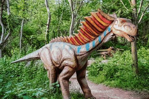 东南花都花博园全新升级鹿岛公园,东南花都花博园导览图