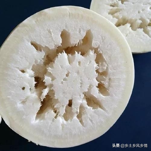 种萝卜有糠心怎么办,种植水萝卜防糠