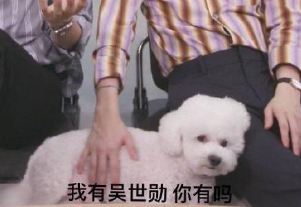 大势爱豆韩国综艺节目,养猪吴世勋