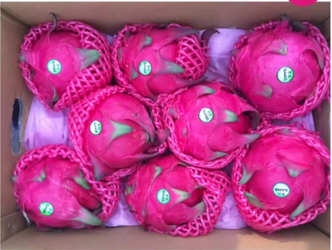 长春生鲜冷链配送,长春蔬果生鲜配送新鲜直达