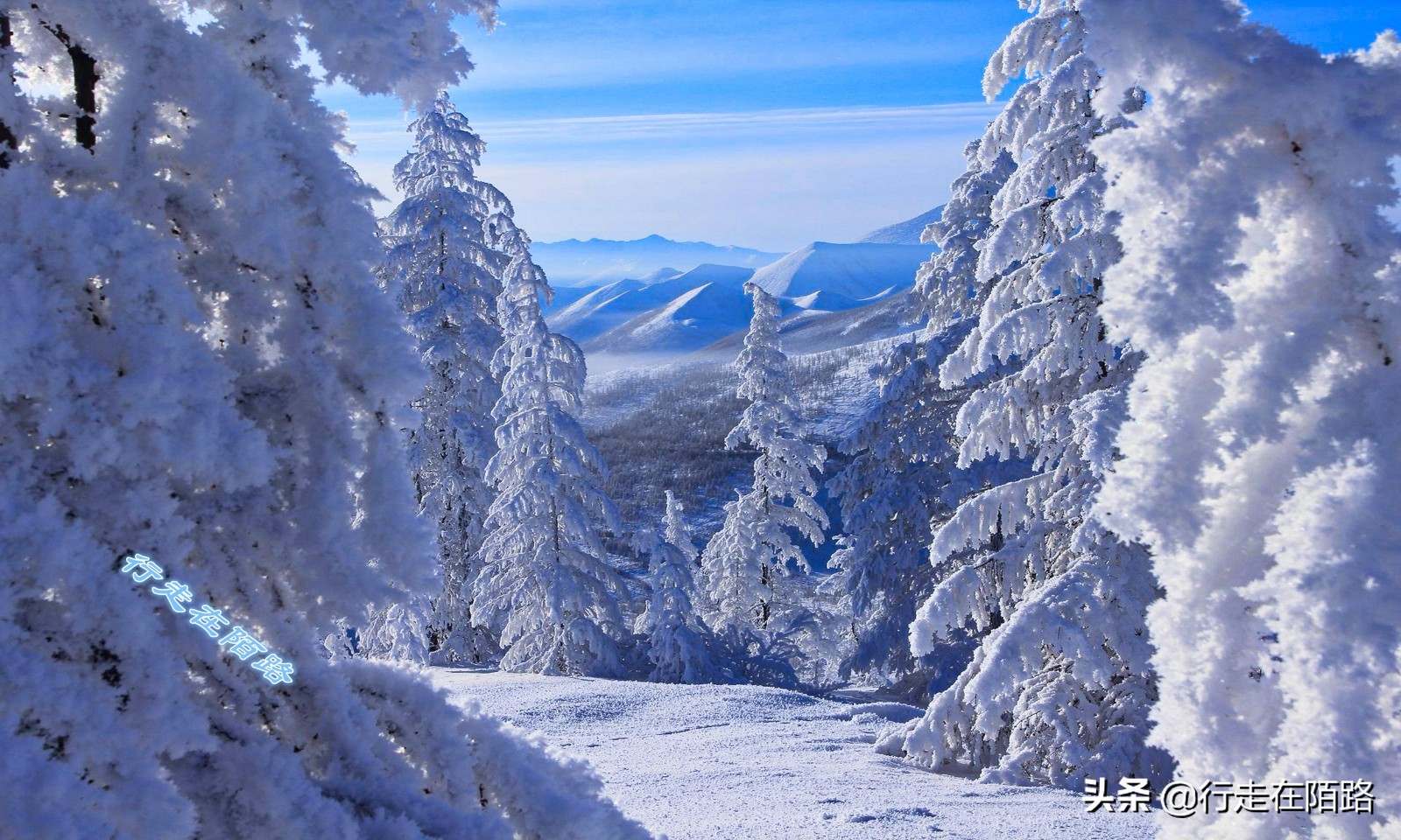 黄金之城马加丹:离最近城市2200公里,猛犸象牙按公斤卖