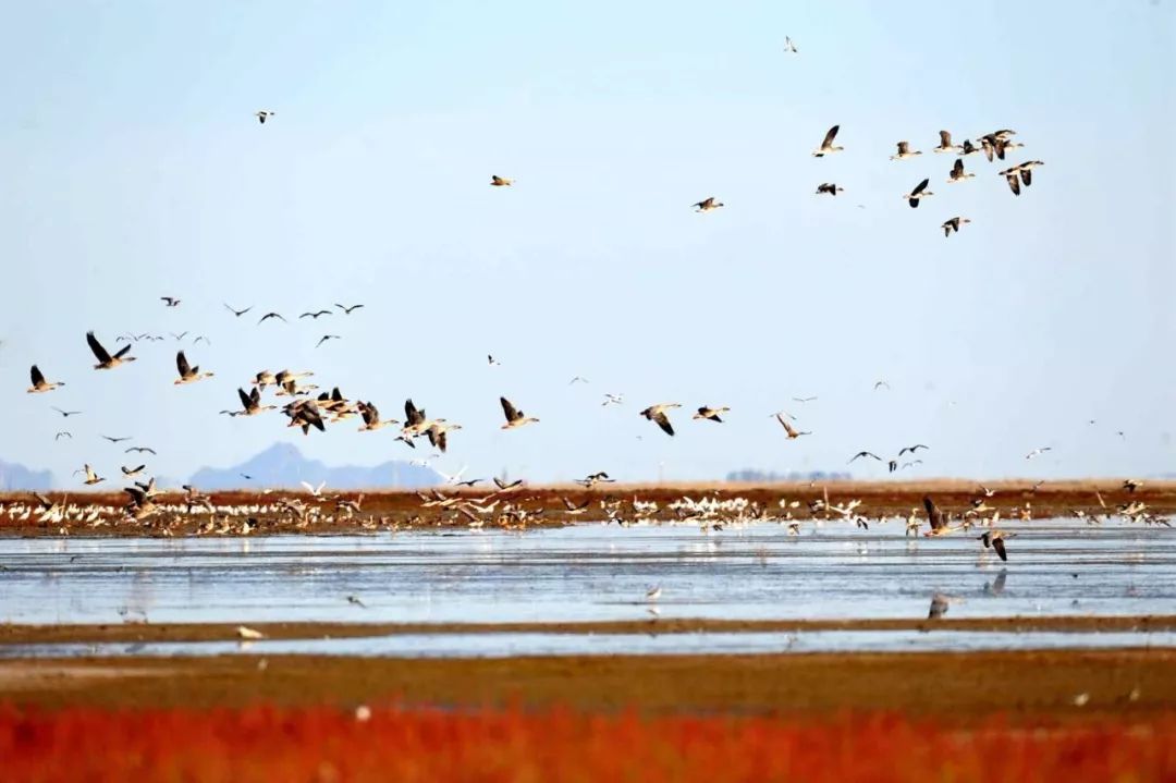 带你去看浩瀚宇宙,带你去内蒙古赤峰