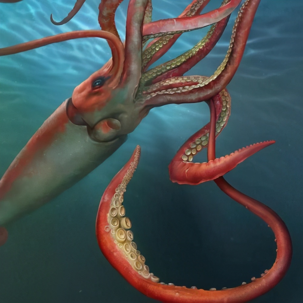 100个搞笑冷知识动物,奇葩动物冷知识你都知道哪几个