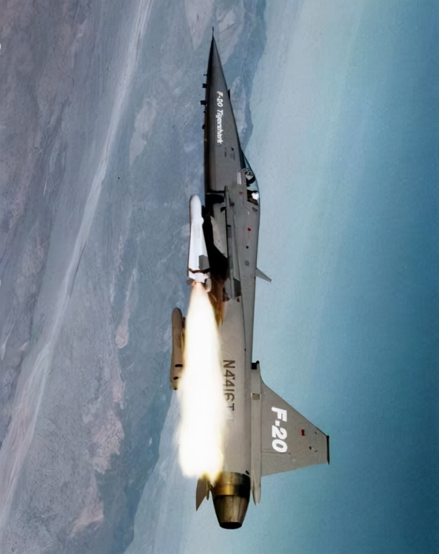 虎鲨悲剧,极富悲剧色彩的虎鲸