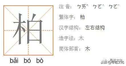 柏汉字怎么读,柏字汉字演变