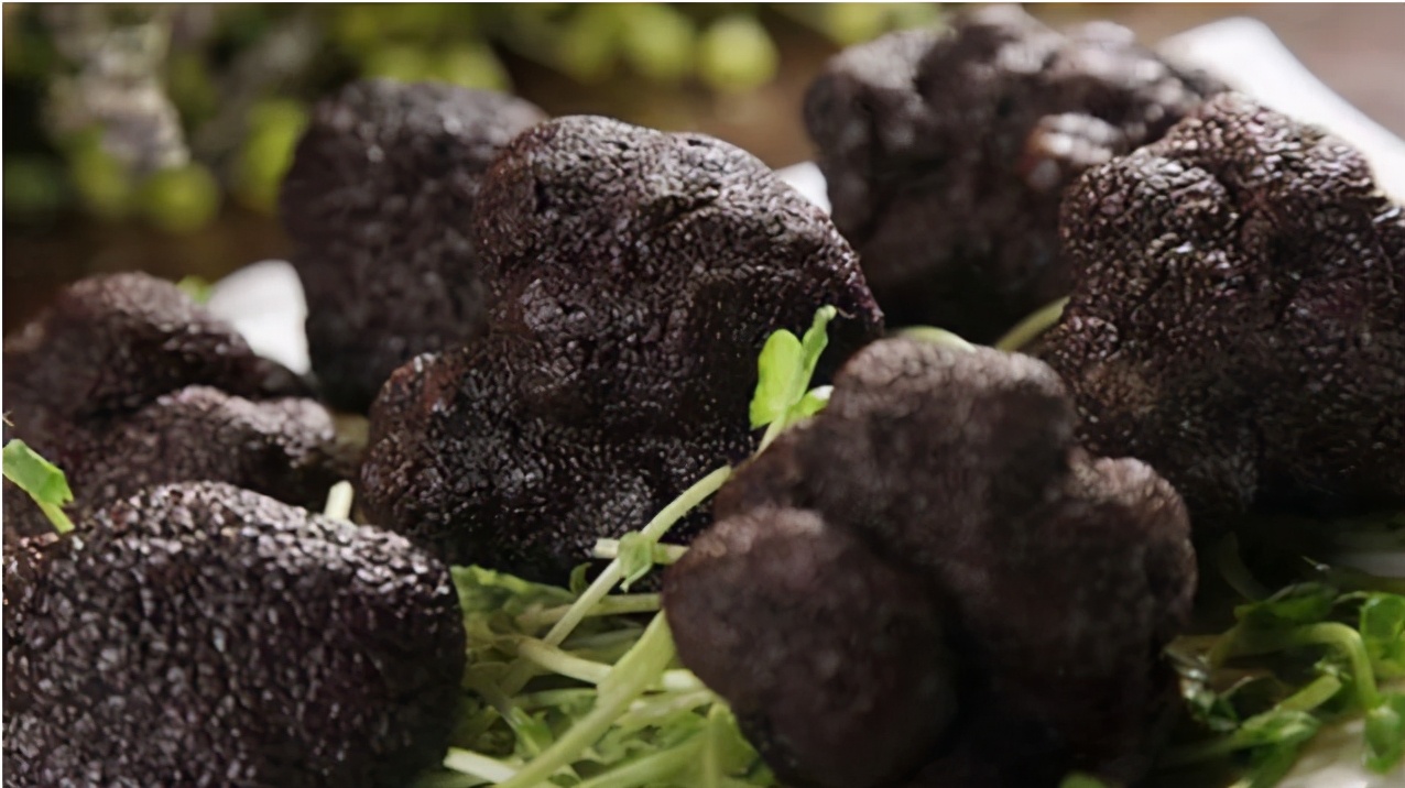 季泉蜗牛霜,黑松露蜗牛霜