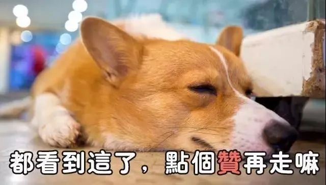 用开塞露治疗便秘效果怎么样,什么牌子的开塞露可以缓解便秘