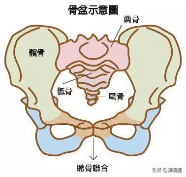 孕妇下身骨头隐隐作痛,孕妇耻骨痛是不是外阴的位置