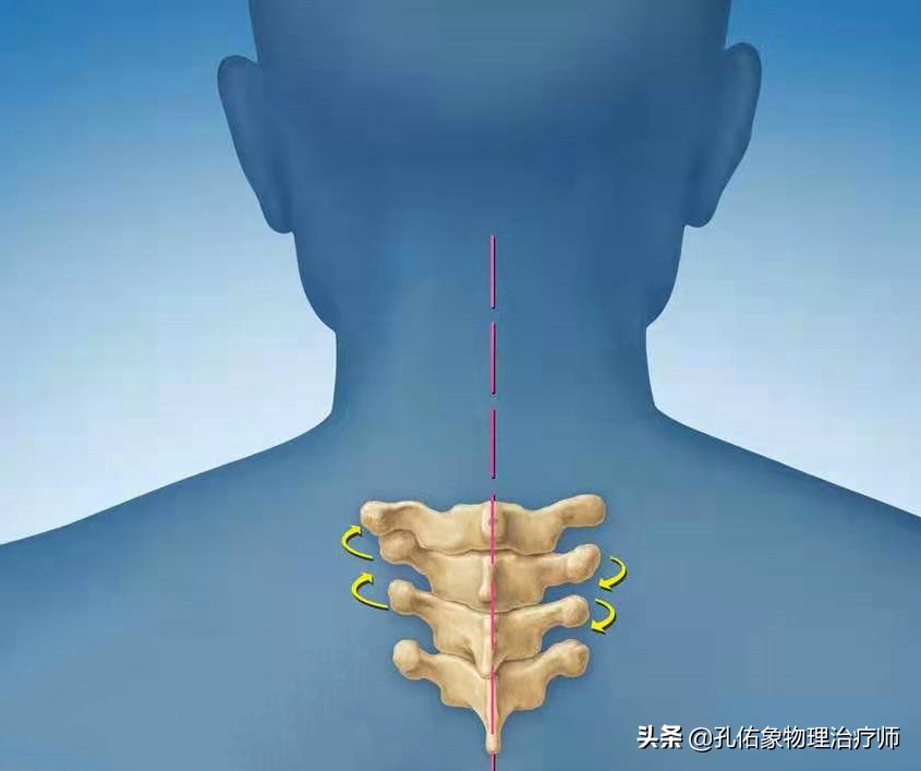 胸和肩胛骨疼痛是什么原因,右胸和后背肩胛骨疼痛是什么原因