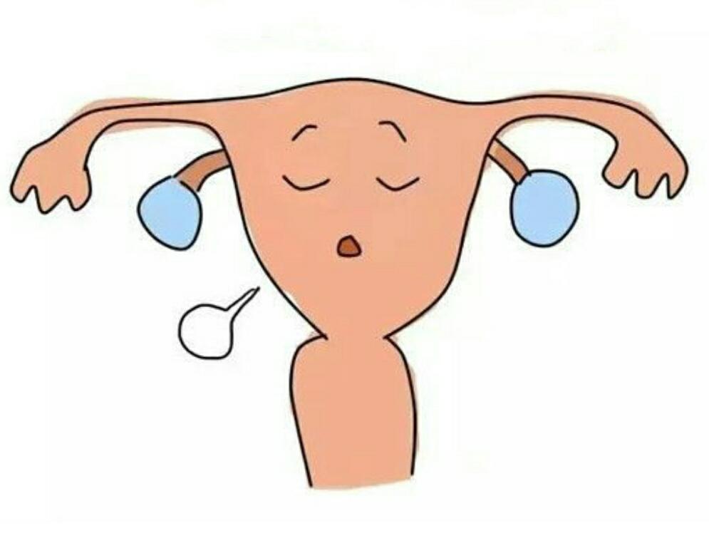 孕育宝宝会遇到哪些困难,子宫畸形的六种情况