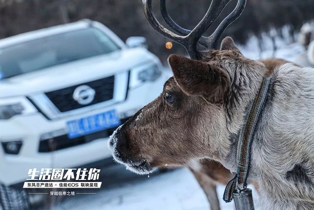 途乐越野测试对比,途达和途乐越野视频
