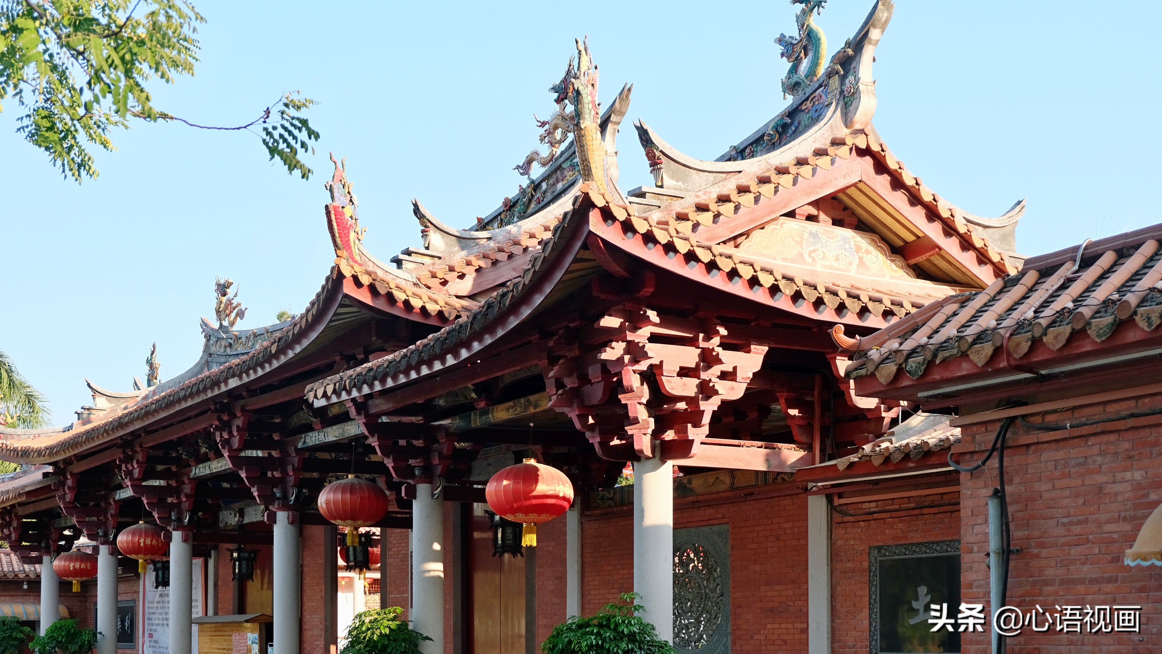 漳州花海风景区景点,漳州花海景区
