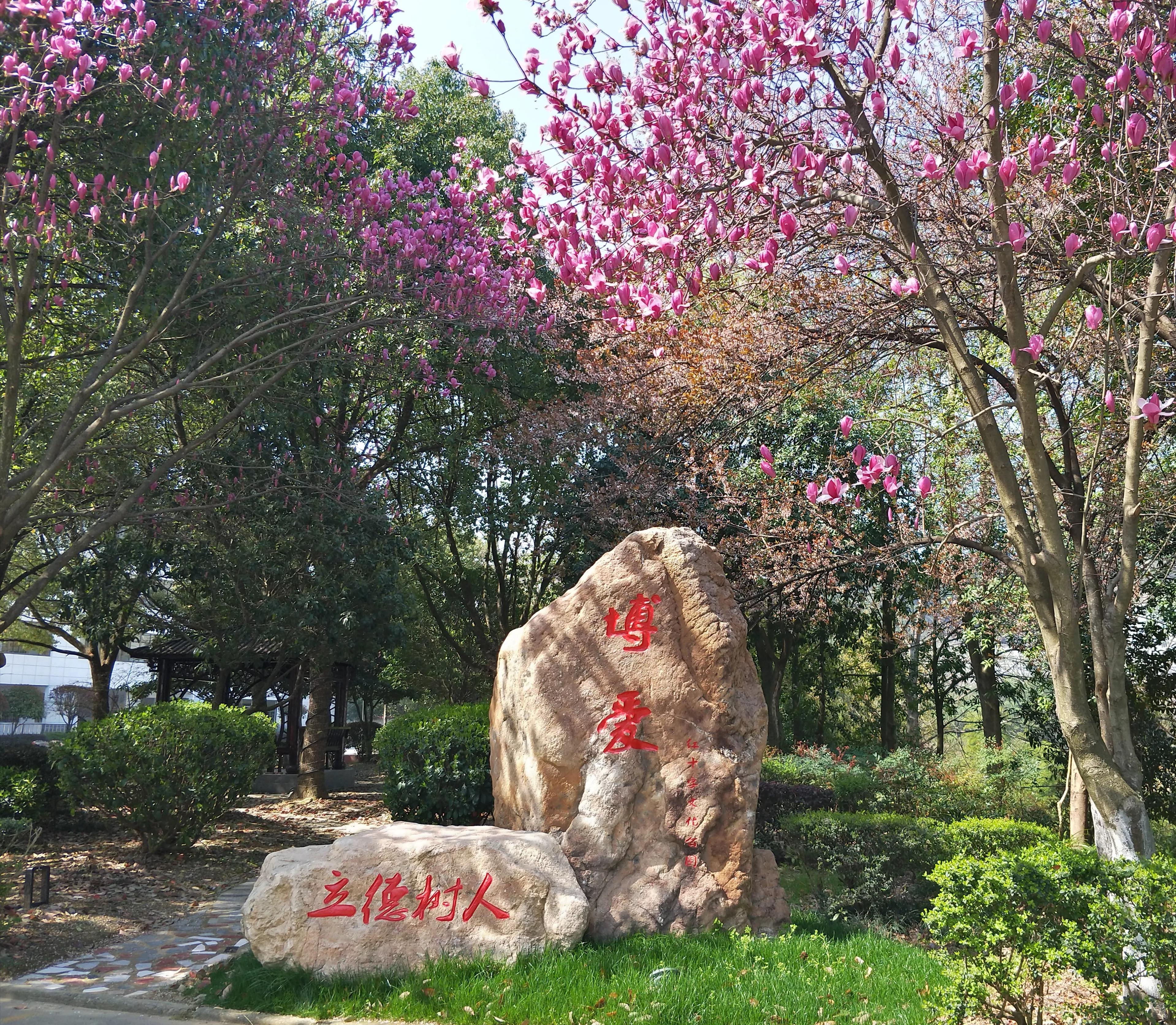 把根留在家乡——记淳安县里商商会监事长、浙江新联董事长余利富