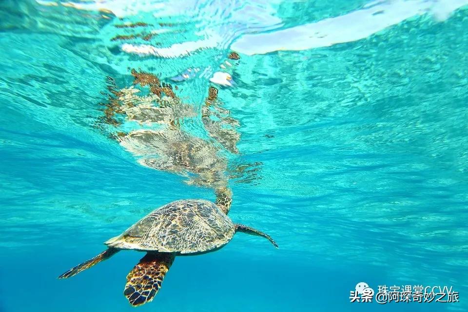 母亲节礼物怎么选珠宝,母亲节吸引人的珠宝