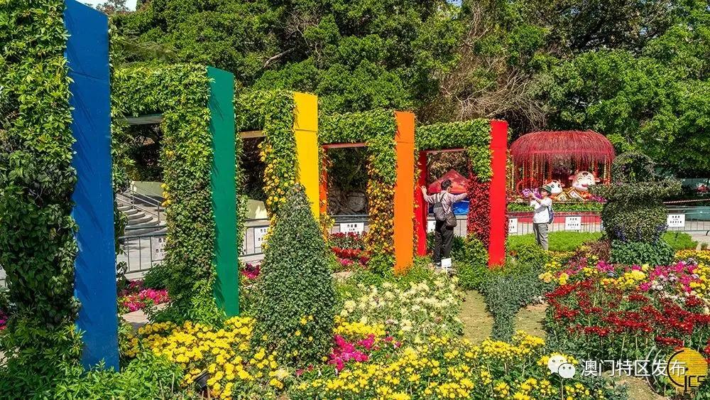 澳门美图欣赏,澳门春日赏花美图