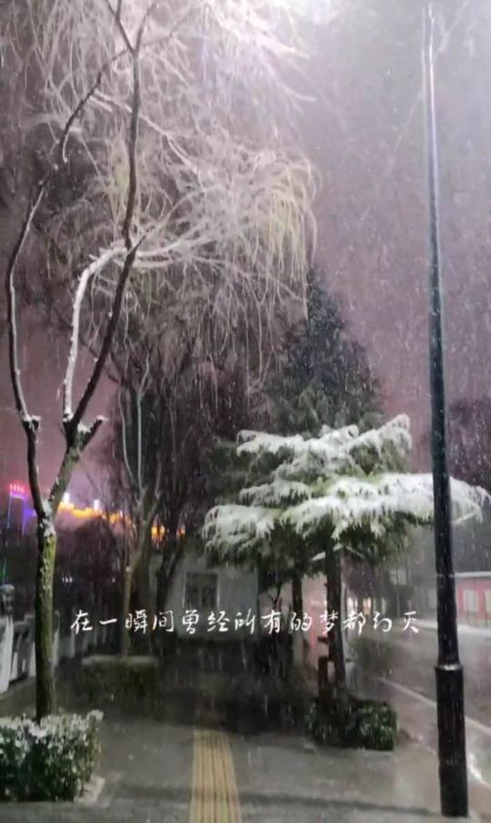 如果在洛南遇见你