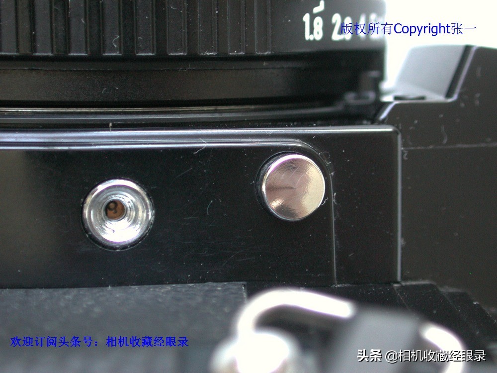 海鸥seagull相机,上海海鸥照相机所有型号序列号