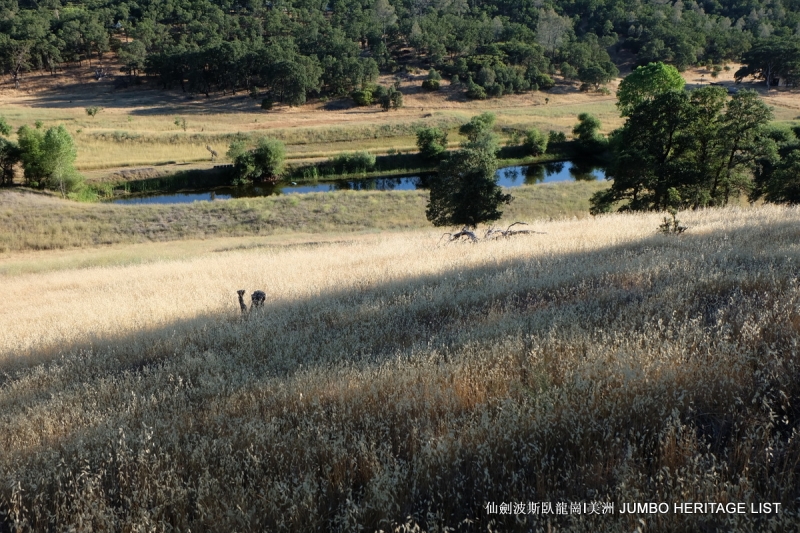 第3045回:人生一世草生一春,来如风雨去似微尘