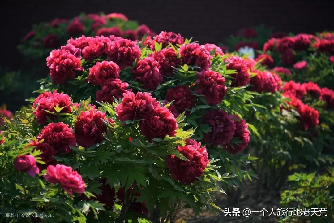 国内最适合一个人旅行的20个地方！去过才懂得什么是自由