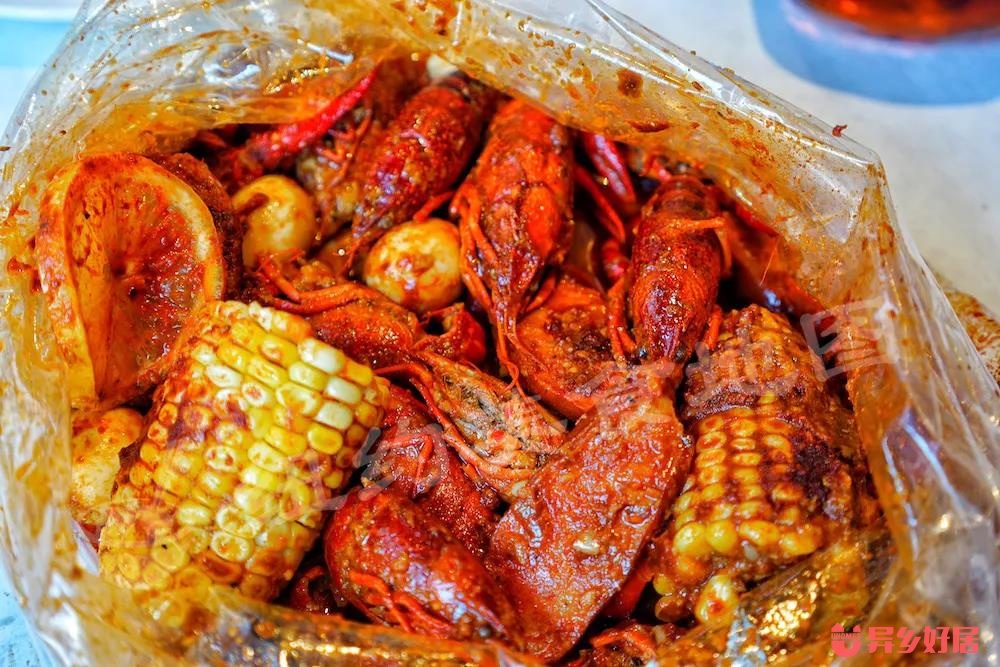 纽约留学和租房哪个好申请,纽约留学租房攻略