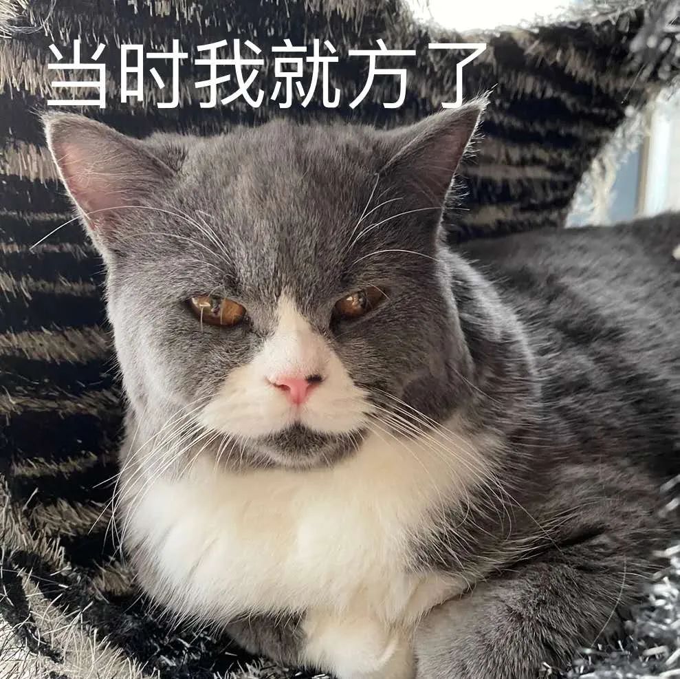 研究生就业推荐表怎么填,大学生推荐就业表