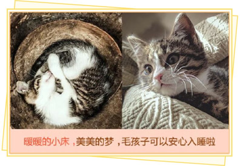 用闲鱼买东西不会被坑,用闲鱼的大部分是什么人