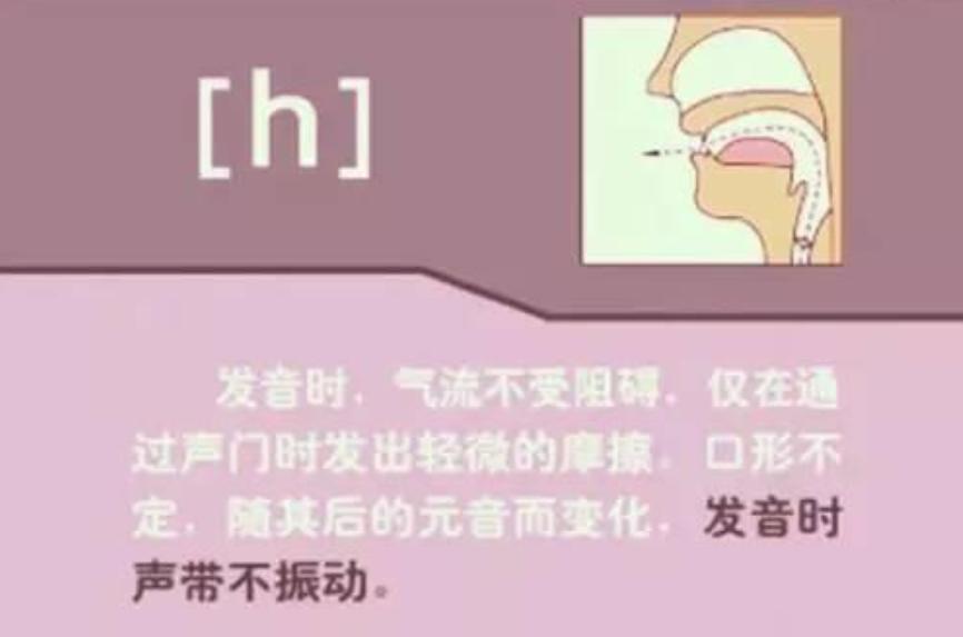 老外教音标和拼读,英语单词不会读学音标好使么