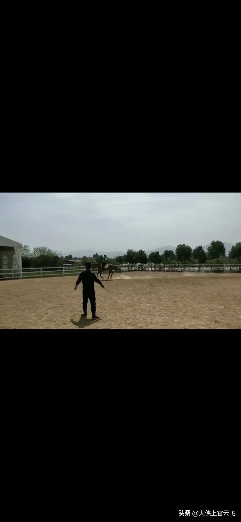 马的特点和赋予人的品格,每匹小马都有不同的性格