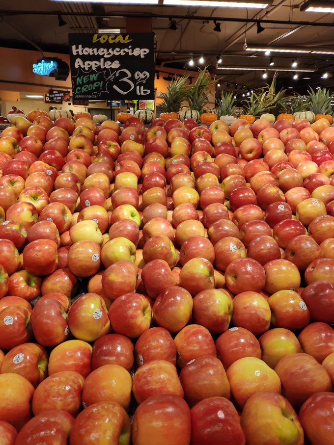 自驾游美国西雅图攻略,从西雅图到洛杉矶自驾游攻略