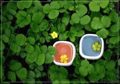 春之声创编作品简单好看,春之声王蒙读后感