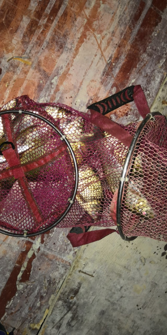 钓友入门竿子,钓鱼竿子新手野钓