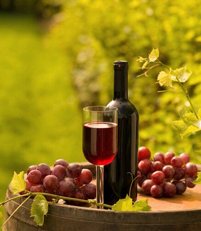 宁夏五宝的名称与用途,宁夏五宝改造