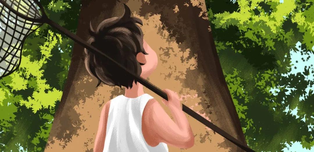 关于诚信的好词好句好段摘抄大全,描写诚信的好词好句