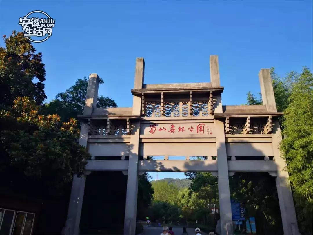 合肥一日游景点有哪些好玩的,合肥一日游最佳景点攻略