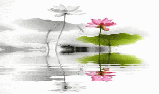 吕叔湘语文教育思想,吕叔湘与语文教育