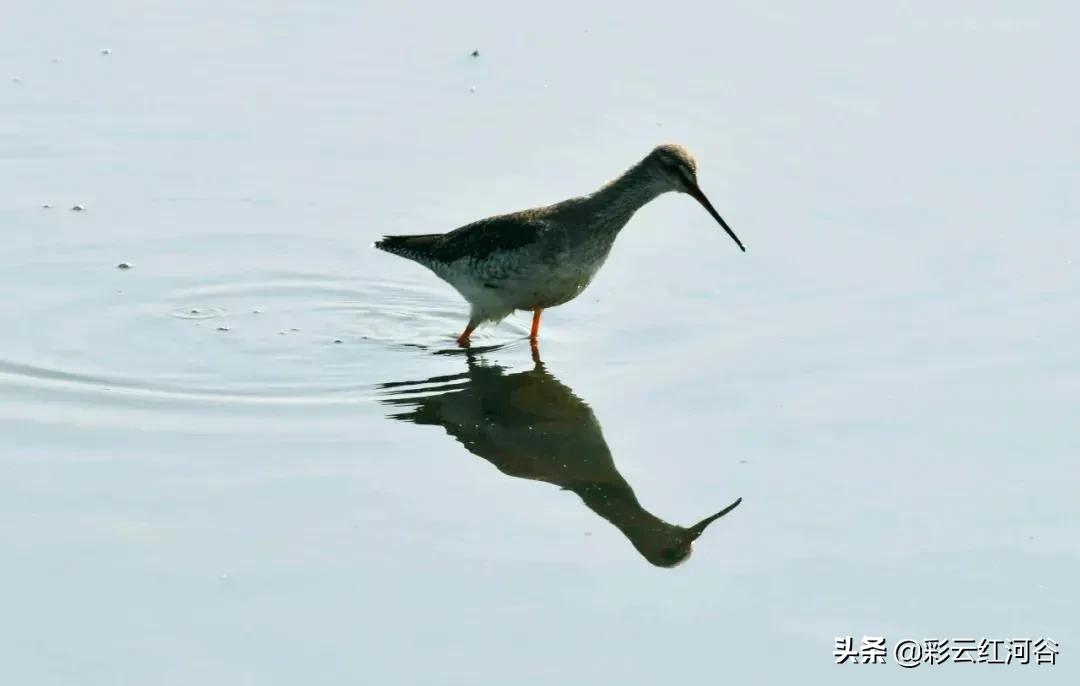 中国云南哪里好看,云南的云彩为什么好看