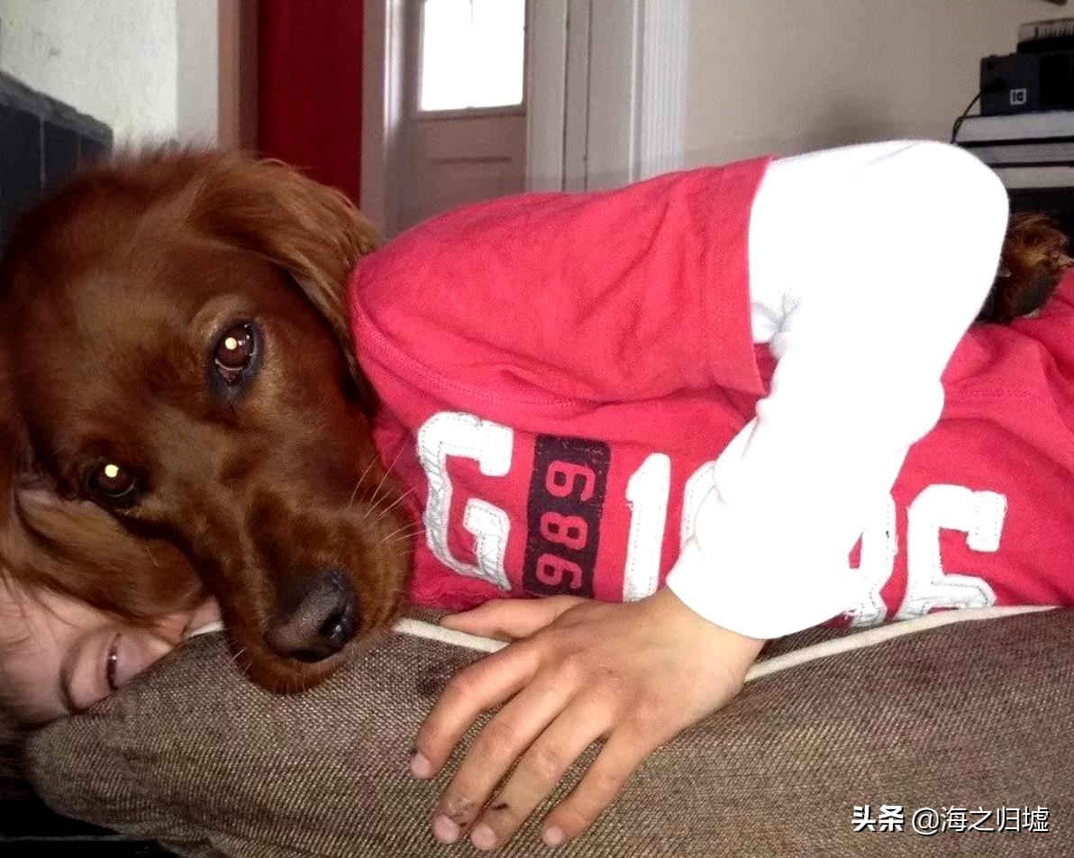 16张不可思议的巧合照片,33张不可思议的巧合照片