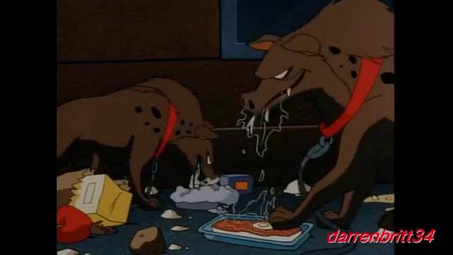 小丑女友哈莉结局,小丑女哈莉奎茵与猛禽小队