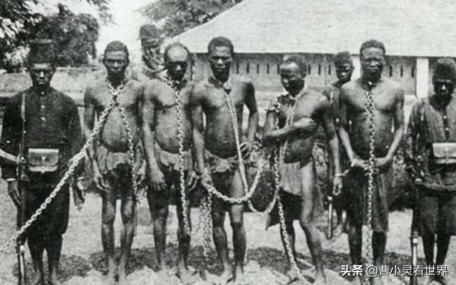 *疆新**棉花事件背后的真相