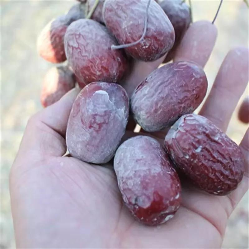 鐤嗘灉鏂版灉鐗逛骇,鐤嗛噷鐤嗗骞叉灉椴滄灉