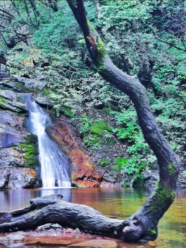 吃在驼梁，体验舌尖上的味道/郝贵云