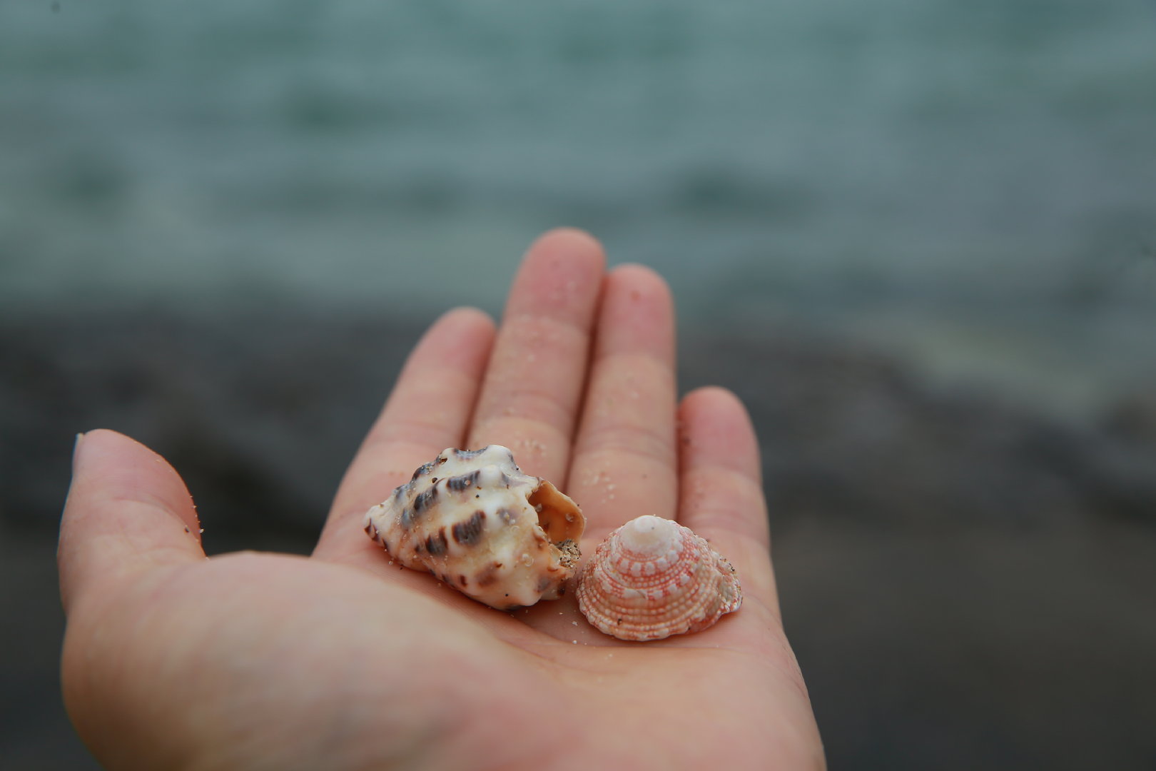 户外露营小白,新手小白如何户外露营