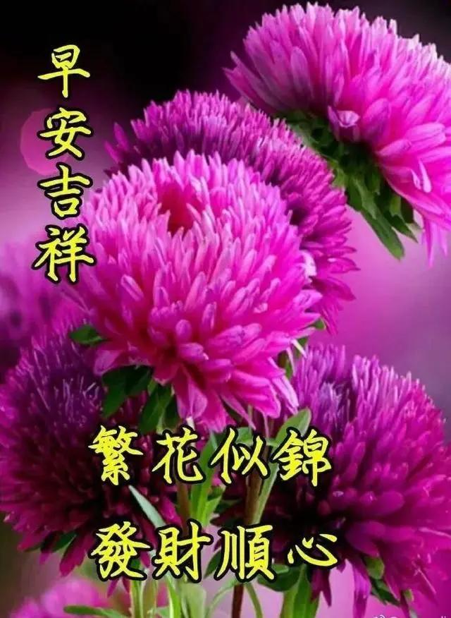 放下过去的一切早上好,放下过往的一切早上好