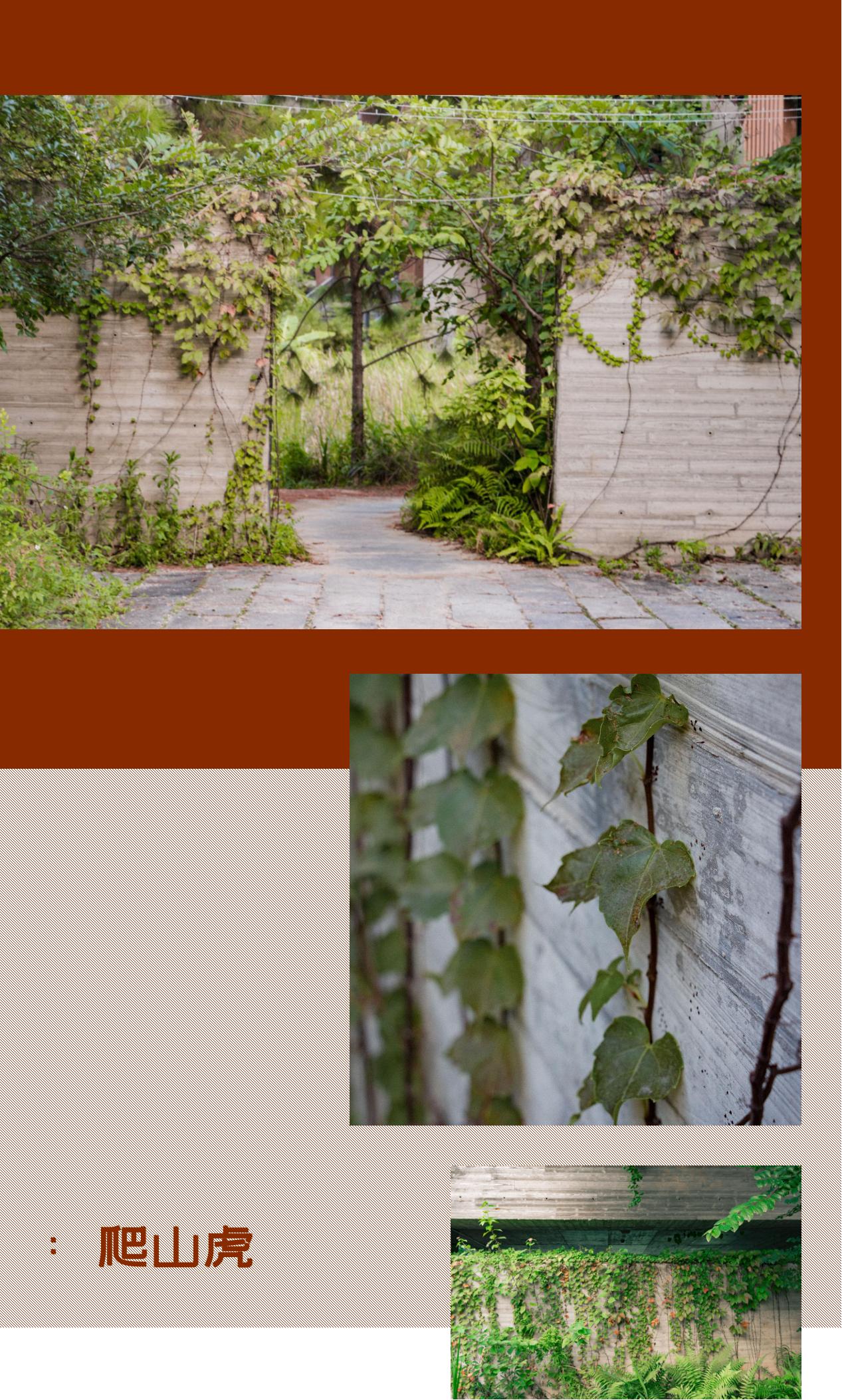 深圳风景最好的岛,深圳有个什么旅游岛