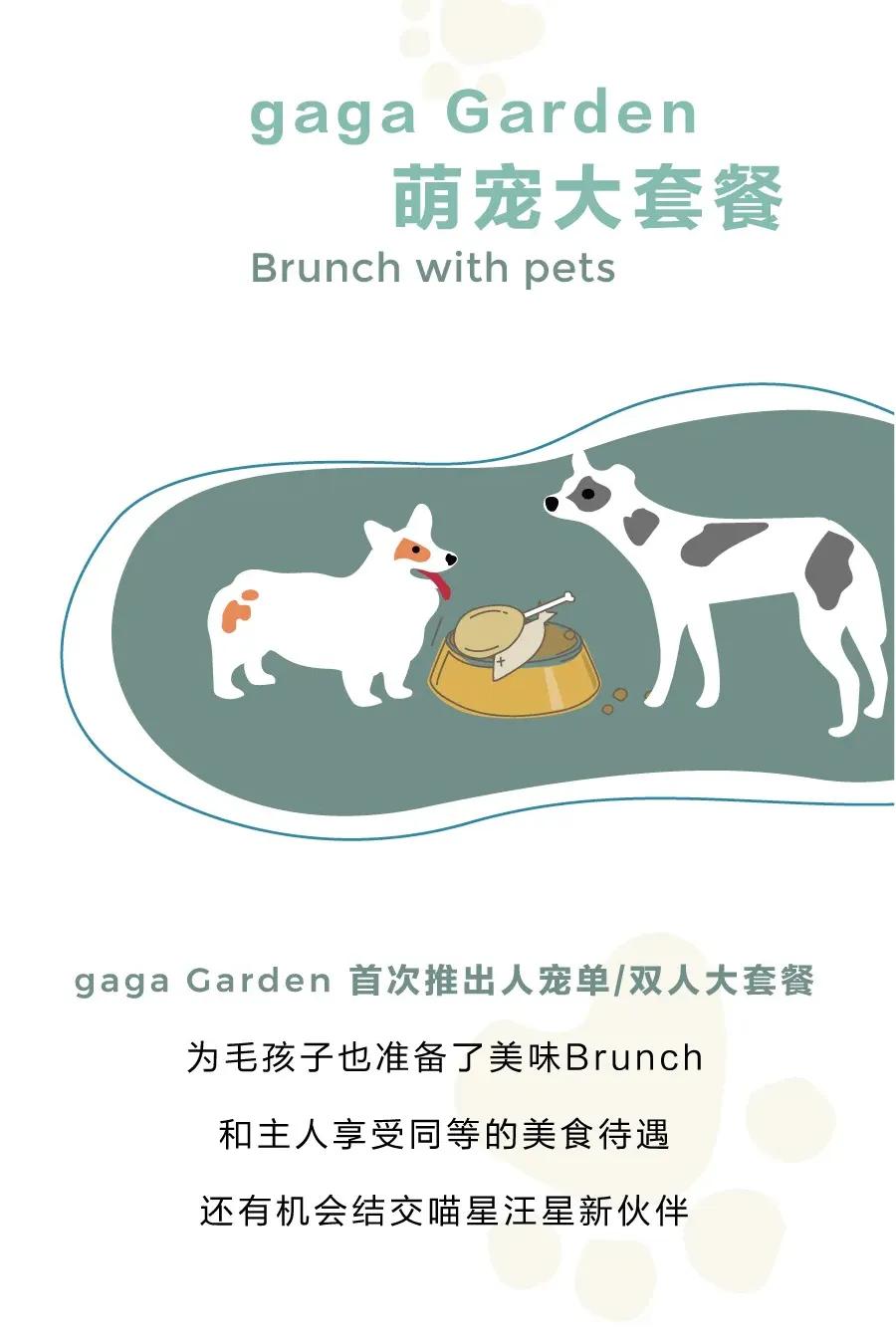 爱宠大作战纪录片,爱宠大作战一口气看完