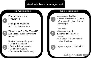 胸主动脉瘤最常见的护理措施,胸主动脉疾病