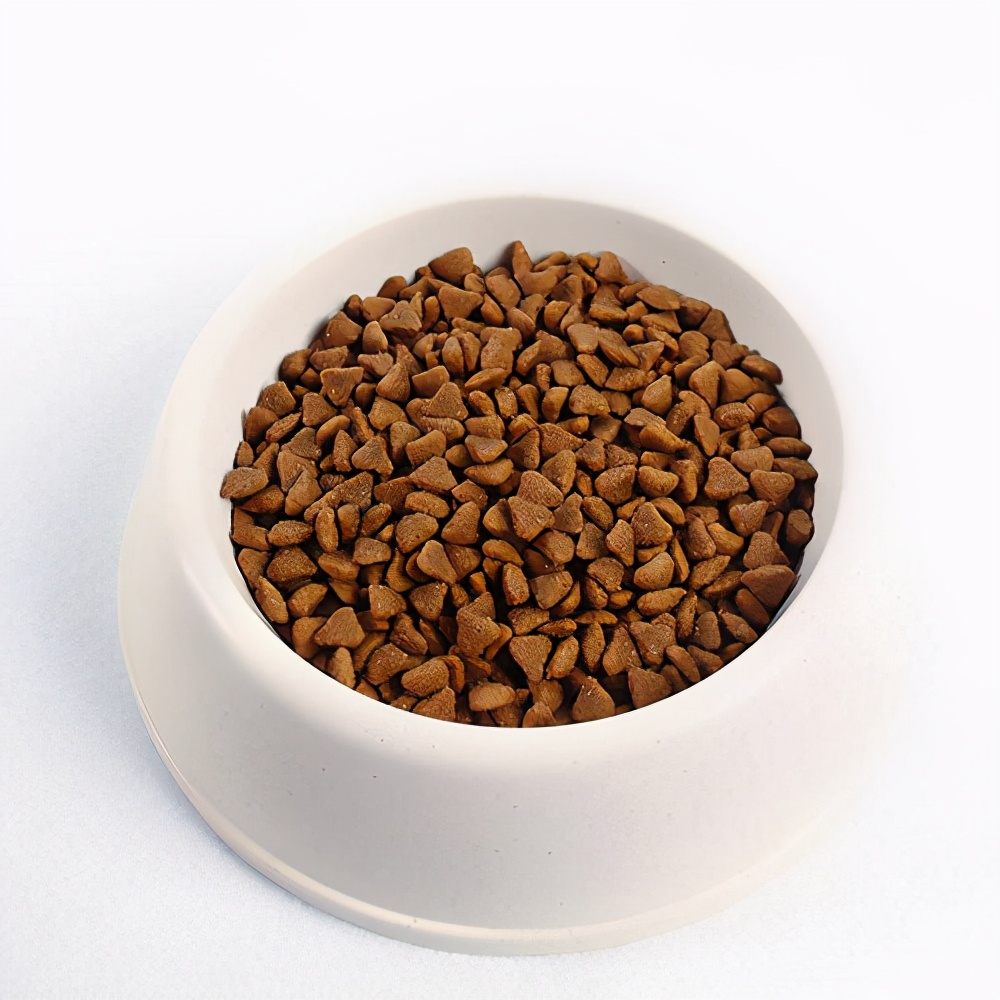 母狗比公狗矮怎么扶,母狗比公狗容易记仇